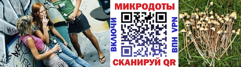 ссылка на мегу зеркало Яхрома Галлюциногенные грибы прущие грибы цена наркотик
