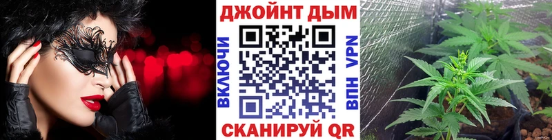 Каннабис планчик  Яхрома 